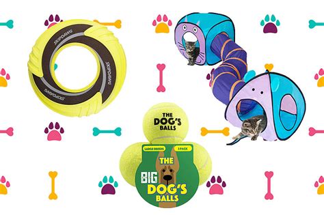 Keep Your Pet Healthy And Happy With These Fun Pet Activity Toys