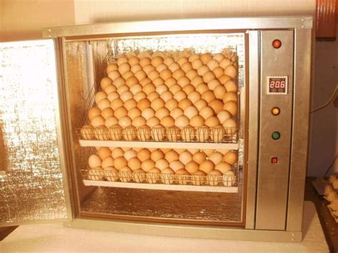 Инкубаторы инкубатор купить Инкубатор бытовой Best- 200 в Горенке ...