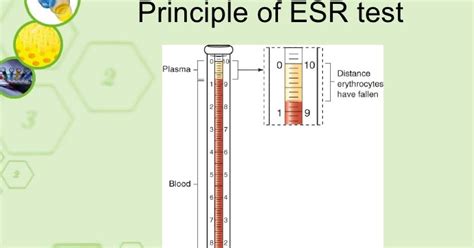 clinical analysis laboratory
