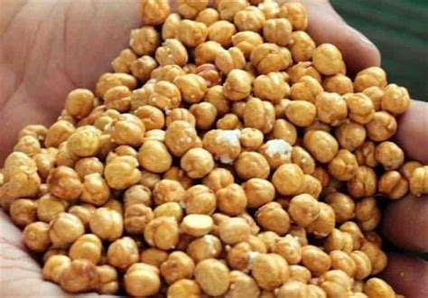 نخود روسی؛ سیاه زرد خورشت عراق Russian Peas آراد برندینگ