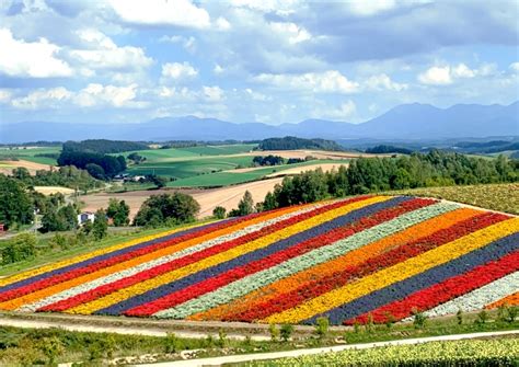 Jelajahi Hokkaido Tujuan Wisata Penuh Pesona Di Jepang