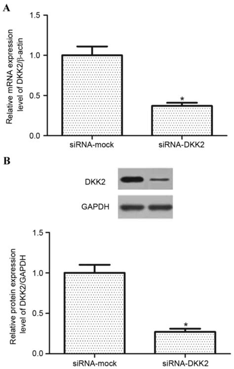 Knockdown Of Dickkopf2 Inhibits Vascular Endothelia Growth Factor