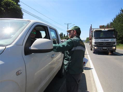 Operativo Carretero Santa Juana Programa Fndr Conaf Biob O Flickr