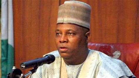 What is Kashim Shettima even bringing to the table? By Jesutega ...