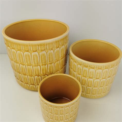 Mustard Yellow Textured Planter Thompson And Morgan