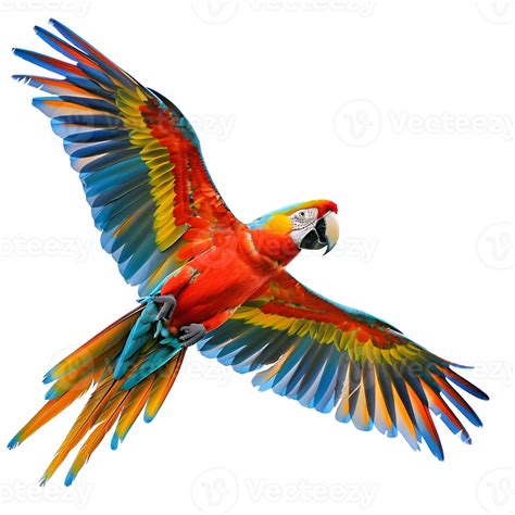 A Colorful Parrot Flying In The Air Png