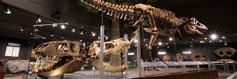 Museum of the Rockies - The Montana Dinosaur Trail