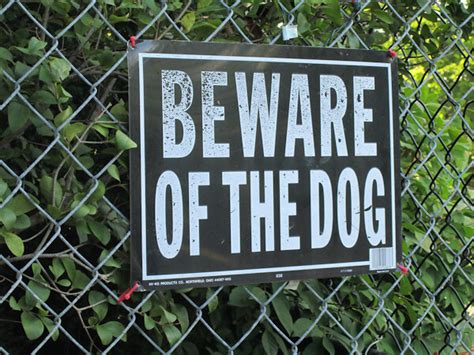 beware  dog beware   dog mandee sears flickr