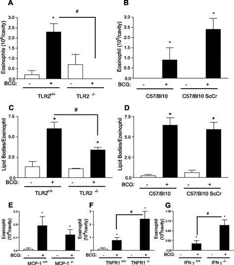 Toll Like Receptor Mediated C C Chemokine Receptor And Eotaxin