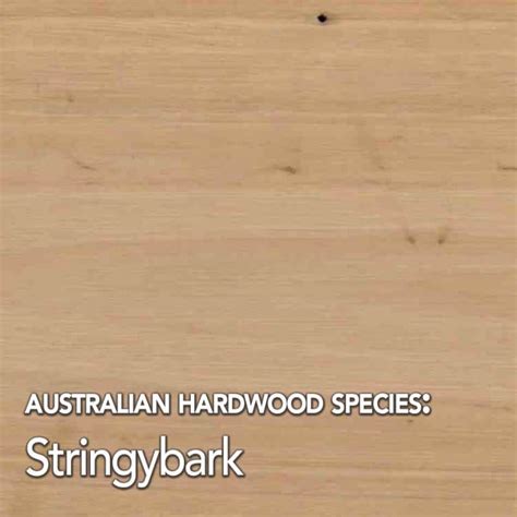 Stringybark Hardwood Timber Species Data Mr Timber Flooring