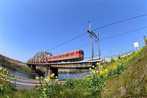 野田市観光協会