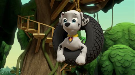 Mira PAW Patrol Patrulla De Cachorros Temporada 8 Episodio 8 PAW