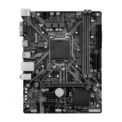 H310m M2 20｜aorus Gigabyte Usa