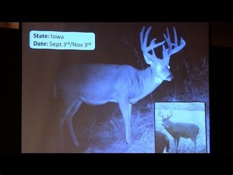 Age This Live QDMA S Interactive Buck Aging YouTube Whitetail