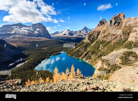 Cathedral Mountain And Wiwaxy Peaks From The Yukness Ledges Hi Res