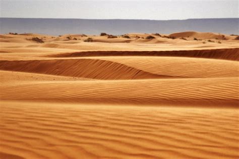 Descubriendo Los Desiertos En Marruecos Clicentradas Es