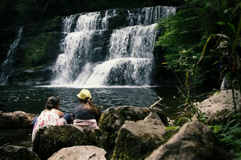 Waterfalls Near Trees · Free Stock Photo