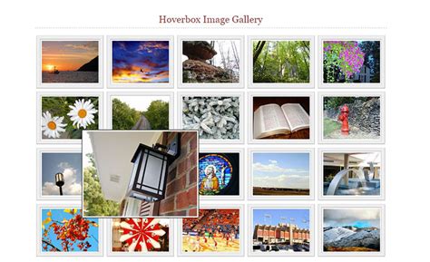 Css Image Gallery Examples That You Can Use On Your Site