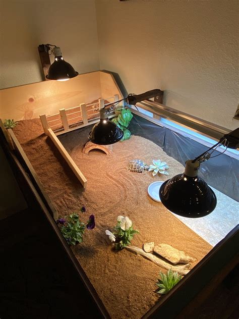 Indoor Tortoise Tables