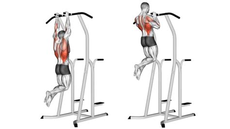 25 Different Types Of Pull Ups and Chin Ups (Variations)