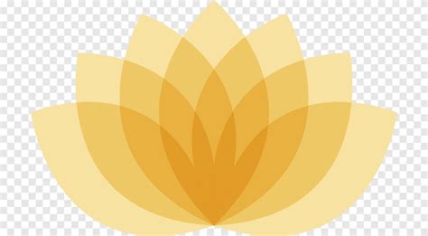 Nelumbo Nucifera Symbol Nymphaea Lotus Egyptian Lotus Flower PNG