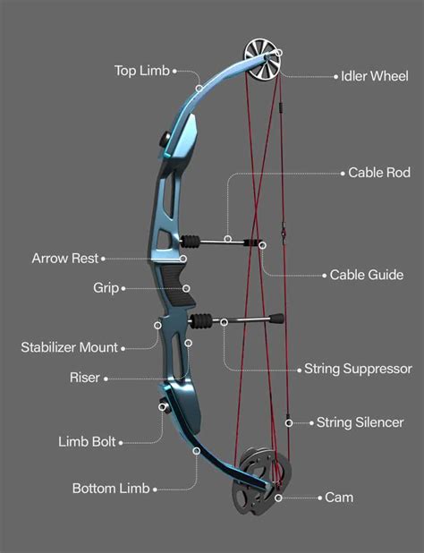 Compound Bow Draw Technique At Josephine Howell Blog