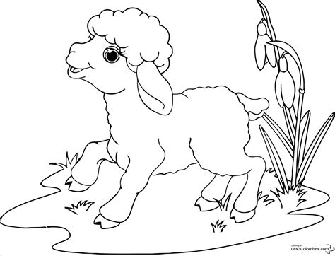 Cr Atif Coloriage Mouton Pics Coloriage