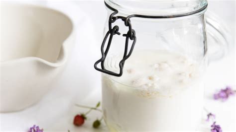 Homemade Milk Kefir Nutrition Facts Besto Blog