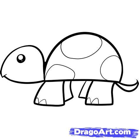 Turtle Drawing For Kids