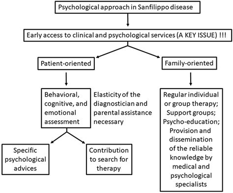 Sanfilippo Syndrome Optimizing Care With A Multidisciplinary Approach Jmdh