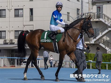 最終週を迎える夏の新潟、小倉、札幌競馬 開催リーディングジョッキー争いに注目｜競馬ニュース｜競馬予想のウマニティ