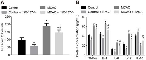 Mir 137 Prevents Inflammatory Response Oxidative Stress Neuronal