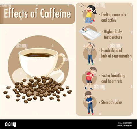 Effects of caffeine information infographic Stock Vector Image & Art - Alamy