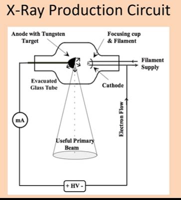 Lesson 2 Xray Production And Tube Flashcards Quizlet