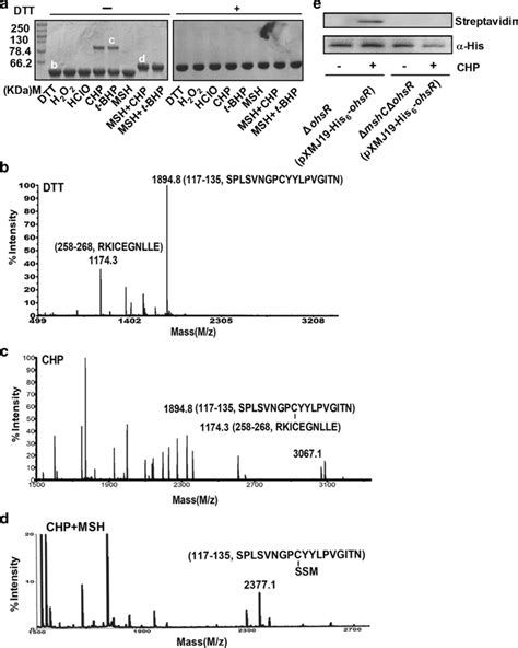 Redox Response Of Ohsr Detected By Nonreducing Sds Page A M