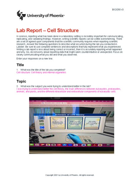 Wk The Cell Structure Lab Report Bio V Lab Report Cell