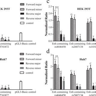 Luciferase Reporter gene activity assays (a) Promoter regions in HEK ... 