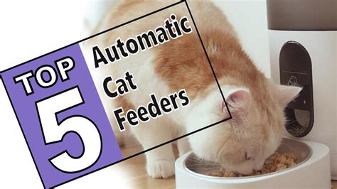 ⭐the 5 Best Automatic Cat Feeders Of 2021 Review Guide Youtube