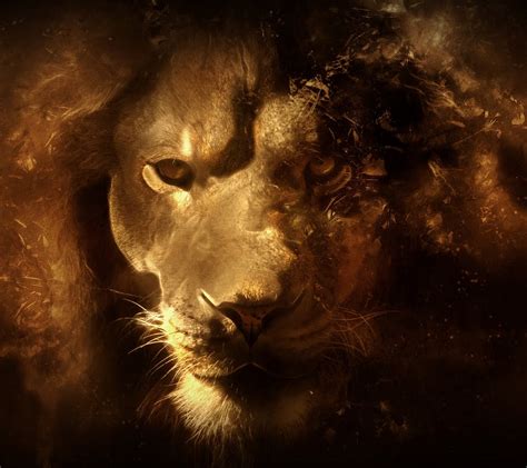 🔥 [50+] Lion Galaxy Wallpapers | WallpaperSafari