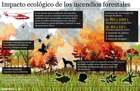 Impacto ecológico de los incendios forestales Ecology Forest fire