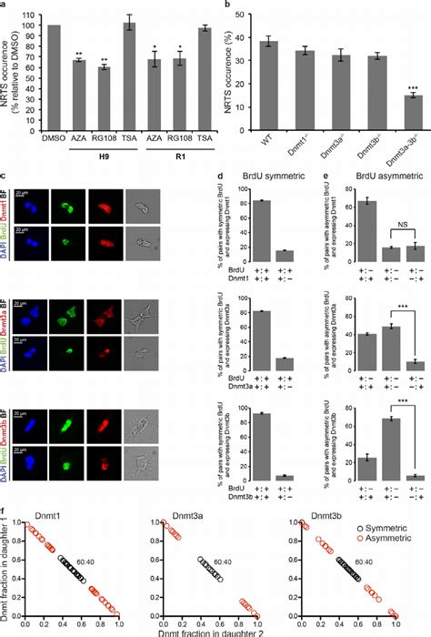 Epigenetic Regulation Of Nrts By Dna Methylation And De Novo Dnmts A