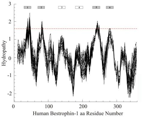 Average hydropathy plot of 53 homologues of vertebrate bestrophins.... | Download Scientific Diagram