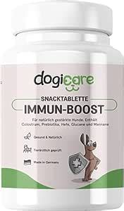 Darmflora Aufbau Hund Immunsystem St Rken Immun Boost Starkes