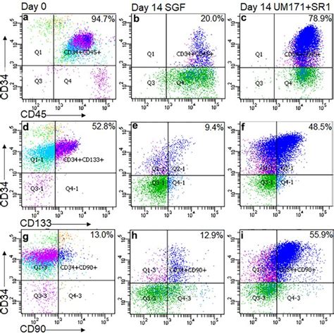 Stem Cell Phenotype Analysis Flow Cytometry Analysis Of CD34 Cells