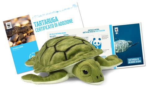 Adozioni Wwf Tartaruga Donazioni Wwf Italia Aziende Wwf Italia