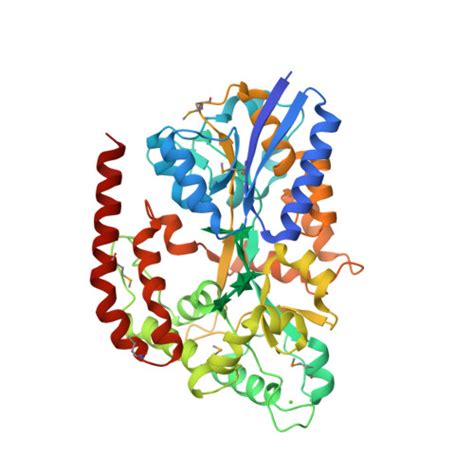 Rcsb Pdb Rkh The Crystal Structure Of Abne Selenium Derivative