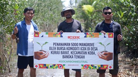 Turunkan Emisi Karbon Icdx Targetkan Penanaman Juta Pohon Mangroves