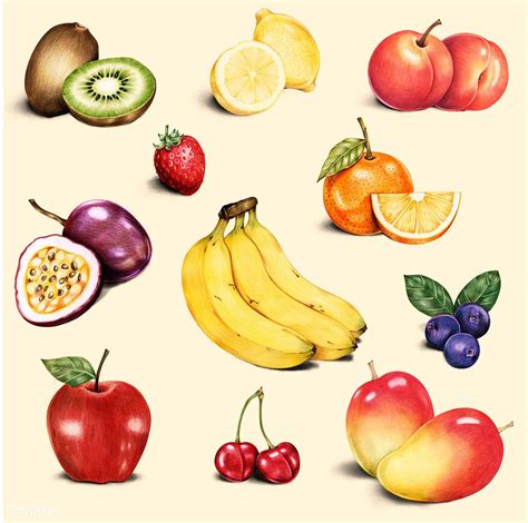 Illustration Of Isolated Assortment Of Fruits Watercolor Style