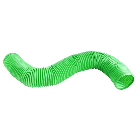 guinea pigs toys 2
