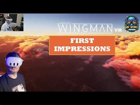 Project Wingman VR First Impressions Meta Quest 3 PCVR